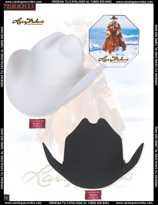 Ferreti2014 (Page 78)